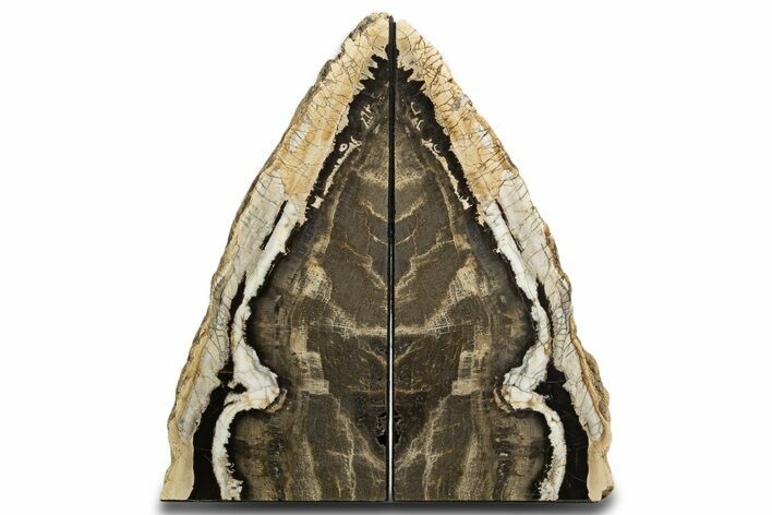 Tall Petrified Wood Bookends - McDermitt, Oregon #338277